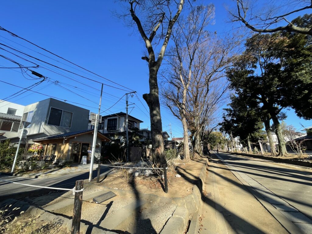 いろはcafe　氷川町屋　参道からの外観